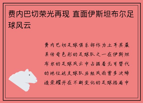费内巴切荣光再现 直面伊斯坦布尔足球风云
